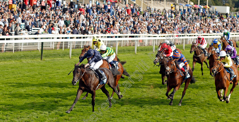 Battle-Cry-0004 
 BATTLE CRY (Ryan Moore) wins The British EBF 40th Anniversary Convivial Maiden Stakes
York 25 Aug 2023 - Pic Steven Cargill / Racingfotos.com