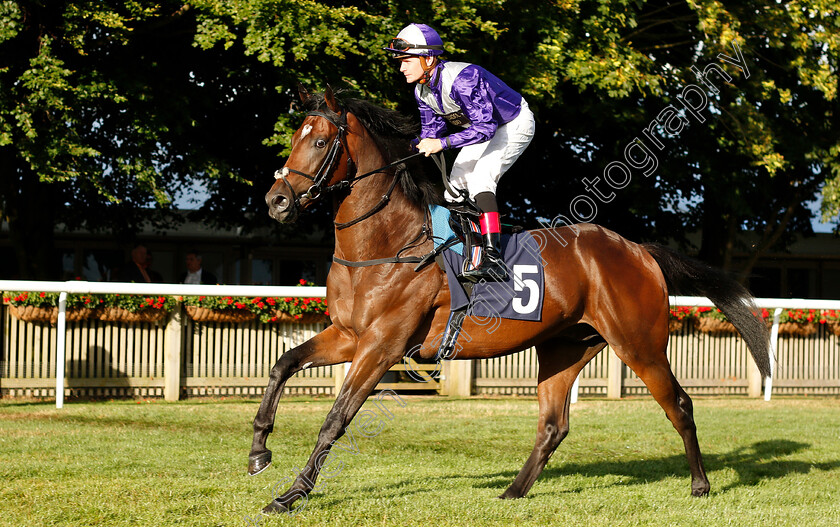 Damon-Runyon-0001 
 DAMON RUNYON (Kieran O'Neill)
Newmarket 10 Aug 2018 - Pic Steven Cargill / Racingfotos.com