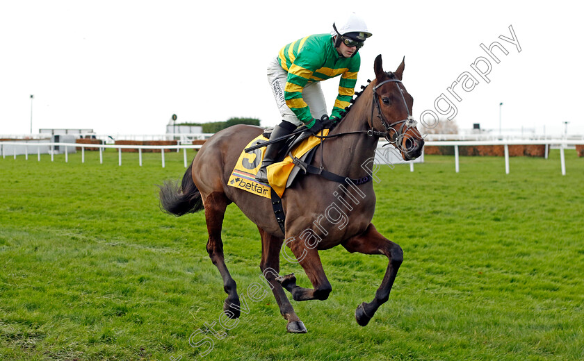 Petit-Tonnerre-0002 
 PETIT TONNERRE (Jonjo O'Neill)
Sandown 9 Dec 2023 - Pic Steven Cargill / Racingfotos.com