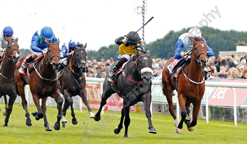 Owney-Madden-0001 
 OWNEY MADDEN (right, Rob Hornby) beats TROUBADOR (centre) and ROSE OF KILDARE (left) in The Sky Bet Nursery
York 21 Aug 2019 - Pic Steven Cargill / Racingfotos.com