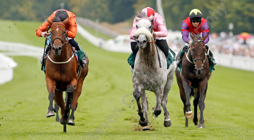 Double-Or-Bubble-0004 
 DOUBLE OR BUBBLE (left, Jack Mitchell) beats MISTY GREY (centre) in The Weatherbys Stallion Book Supreme Stakes
Goodwood 28 Aug 2022 - Pic Steven Cargill / Racingfotos.com