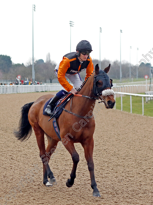 Baldomero-0001 
 BALDOMERO (Daniel Muscutt)
Wolverhampton 9 Mar 2024 - Pic Steven Cargill / Racingfotos.com