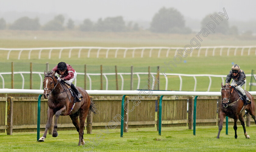 Wonder-Kid-0005 
 WONDER KID (Harry Davies) wins The Graham Budd Horseracing Memorabilia Handicap
Newmarket 26 Sep 2024 - Pic Steven Cargill / Racingfotos.com