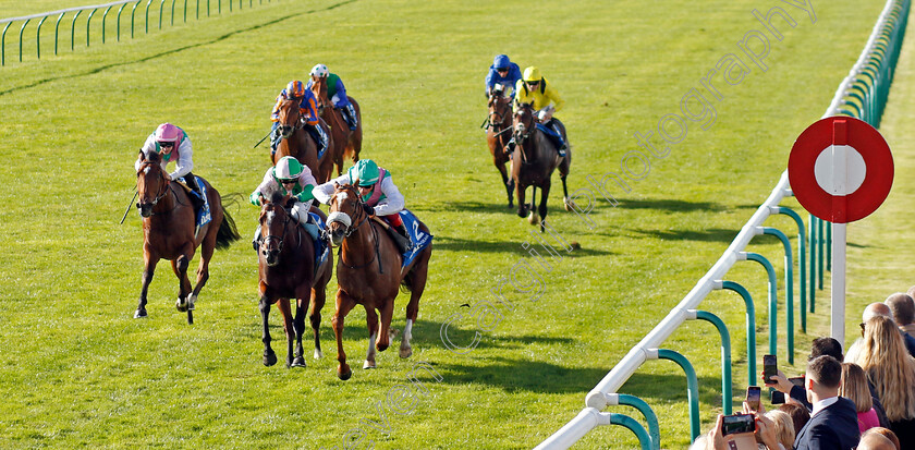 Chaldean-0006 
 CHALDEAN (Frankie Dettori) beats ROYAL SCOTSMAN (2nd left) and NOSTRUM (left) in The Darley Dewhurst Stakes
Newmarket 8 Oct 2022 - Pic Steven Cargill / Racingfotos.com