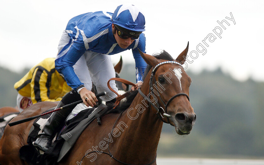 Tavus-0005 
 TAVUS (Jason Watson) wins The covermarque.com For Bloodstock Insurance Handicap
Newbury 6 Aug 2019 - Pic Steven Cargill / Racingfotos.com