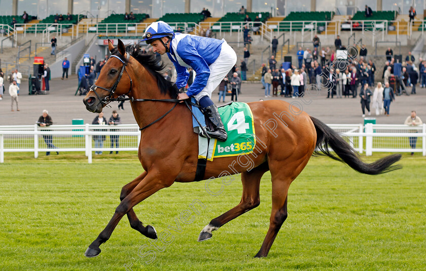 Lord-North-0001 
 LORD NORTH (William Buick)
Sandown 26 Apr 2024 - Pic Steven Cargill / Racingfotos.com