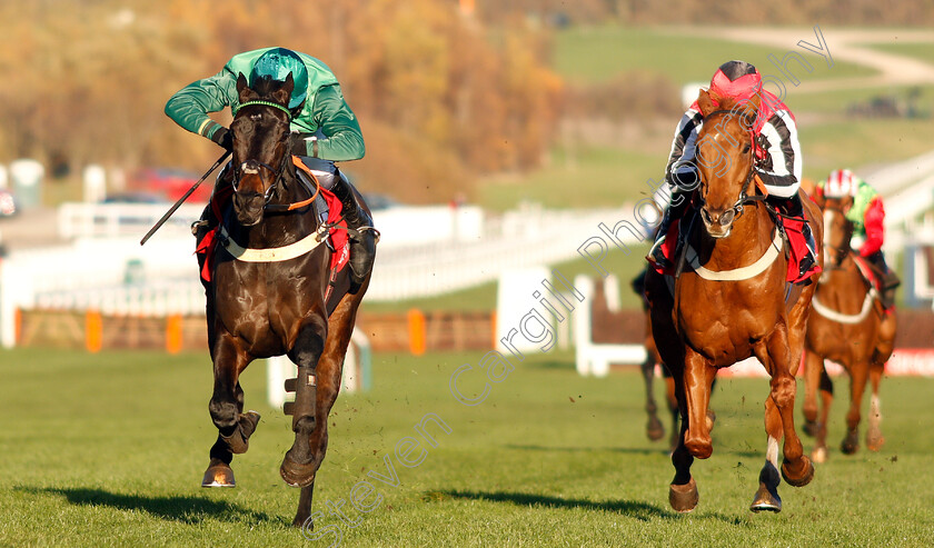 Sceau-Royal-0003 
 SCEAU ROYAL (Daryl Jacob) beats SIMPLY NED (right) in The Shloer Chase
Cheltenham 18 Nov 2018 - Pic Steven Cargill / Racingfotos.com