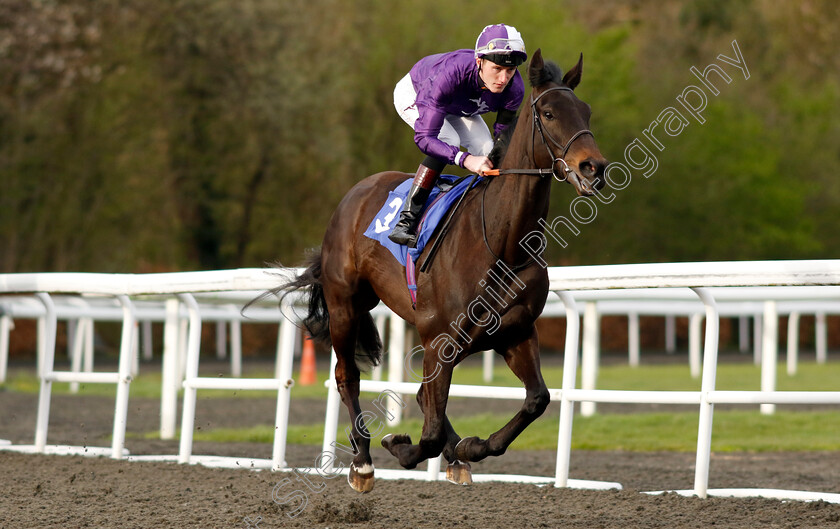 Lady-Bancroft-0001 
 LADY BANCROFT (David Egan)
Kempton 3 Apr 2024 - Pic Steven Cargill / Racingfotos.com