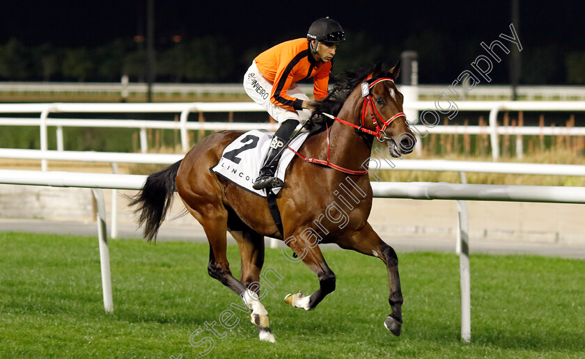 Azna-0001 
 AZNA (Bernardo Pinheiro)
Meydan 2 Feb 2024 - Pic Steven Cargill / Racingfotos.com