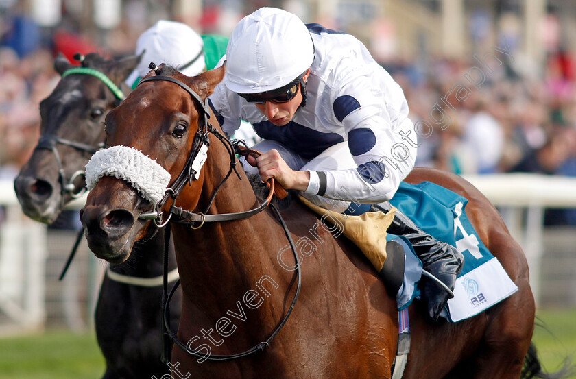 Gushing-Gold-0001 
 GUSHING GOLD (William Buick) wins The OR8Wellness EBF Stallions Nursery
York 24 Aug 2023 - Pic Steven Cargill / Racingfotos.com