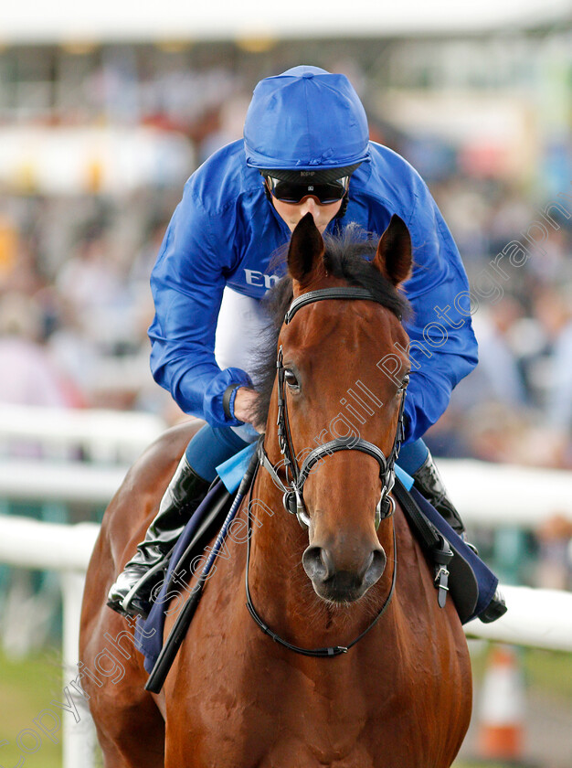 Bay-Of-Honour-0001 
 BAY OF HONOUR (William Buick)
Doncaster 10 Sep 2021 - Pic Steven Cargill / Racingfotos.com