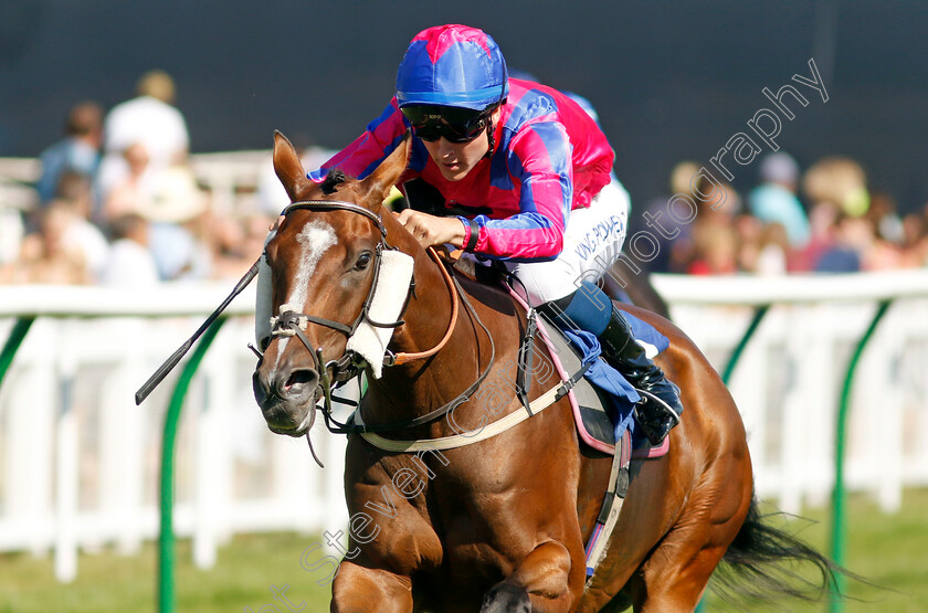 Sly-Madam-0005 
 SLY MADAM (William Carver) wins The M J Church Handicap
Salisbury 11 Aug 2022 - Pic Steven Cargill / Racingfotos.com