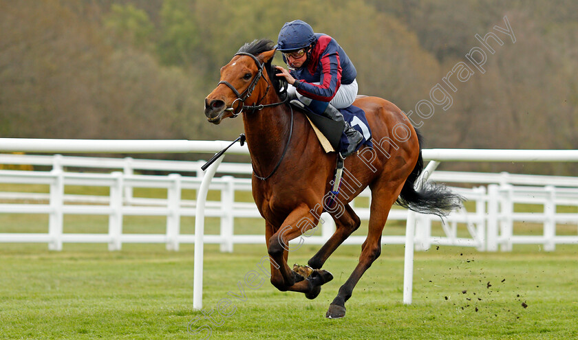 Turn-On-The-Charm-0001 
 TURN ON THE CHARM (William Buick) wins The Download The Novibet App Handicap
Lingfield 8 May 2021 - Pic Steven Cargill / Racingfotos.com