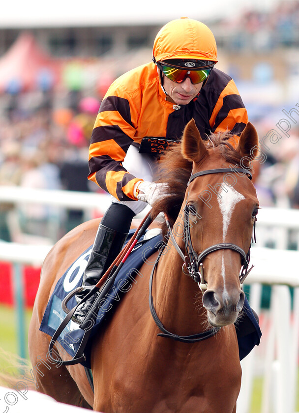 Itizzit-0001 
 ITIZZIT (Gerald Mosse) 
Doncaster 13 Sep 2018 - Pic Steven Cargill / Racingfotos.com