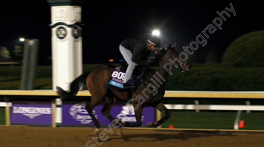 Mo-Stash-0001 
 MO STASH training for the Breeders' Cup Juvenile Turf
Keeneland USA 1 Nov 2022 - Pic Steven Cargill / Racingfotos.com