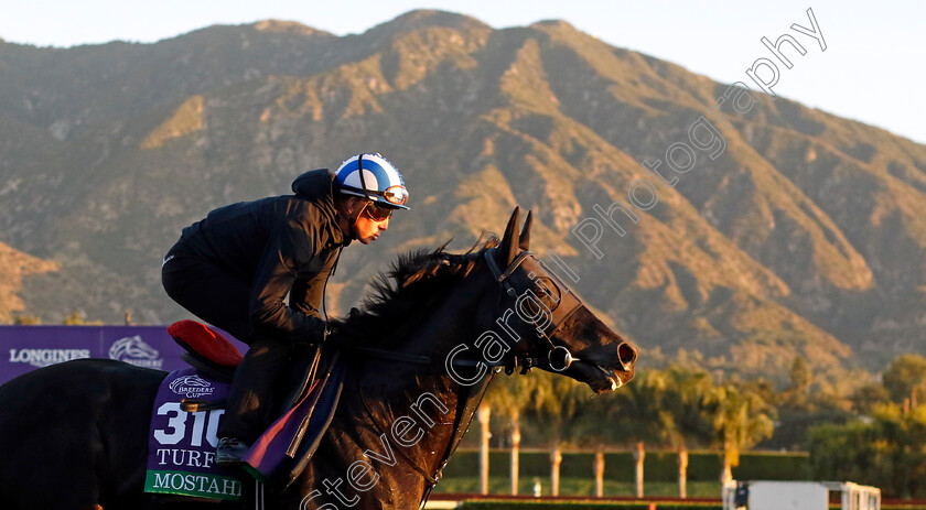 Mostahdaf-0006 
 MOSTAHDAF (Jim Crowley) training for the Breeders' Cup Turf
Santa Anita USA, 1 Nov 2023 - Pic Steven Cargill / Racingfotos.com