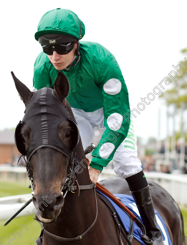 Dark-Defender-0001 
 DARK DEFENDER (Luke Morris)
York 16 May 2018 - Pic Steven Cargill / Racingfotos.com