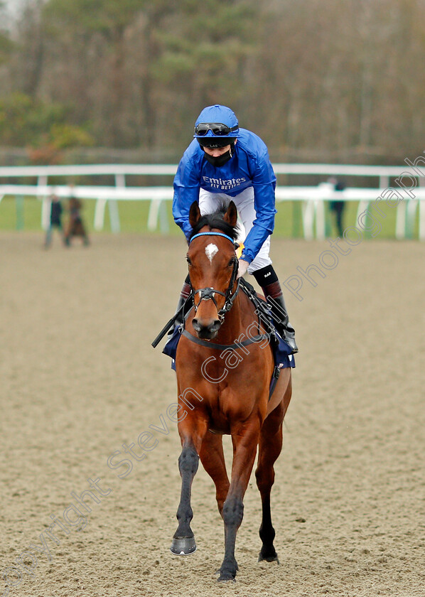 Forest-Of-Dean-0001 
 FOREST OF DEAN (Robert Havlin)
Lingfield 6 Feb 2021 - Pic Steven Cargill / Racingfotos.com