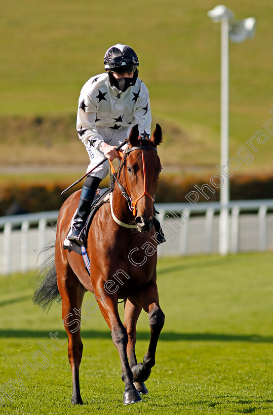 Verre-Dore-0001 
 VERRE DORE (Darragh Keenan)
Goodwood 11 Oct 2020 - Pic Steven Cargill / Racingfotos.com