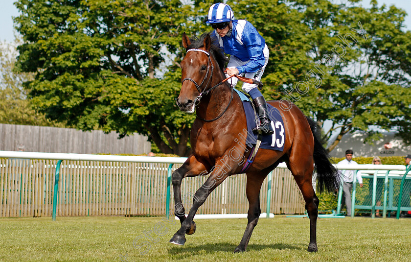 Wadilsafa-0001 
 WADILSAFA (Jim Crowley) before winning The Pegasus Profiles Flying Horse Novice Stakes Newmarket 18 May 2018 - Pic Steven Cargill / Racingfotos.com