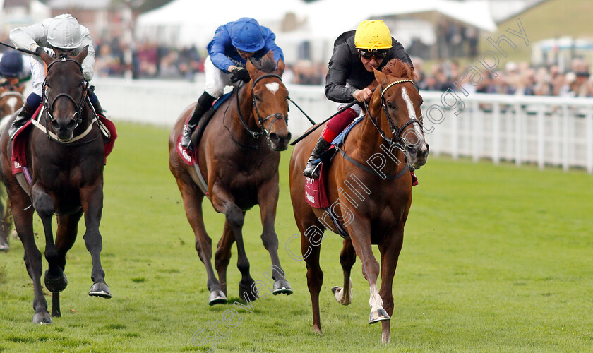 Stradivarius-0005 
 STRADIVARIUS (Frankie Dettori) wins The Qatar Goodwood Cup
Goodwood 30 Jul 2019 - Pic Steven Cargill / Racingfotos.com