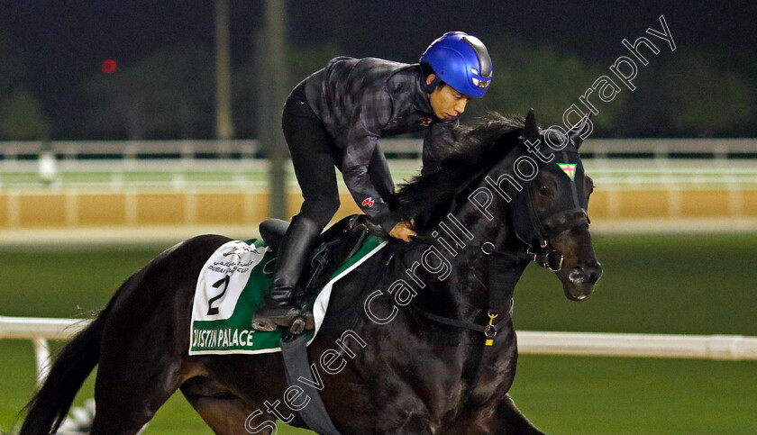 Justin-Palace-0001 
 JUSTIN PALACE training for The Sheema Classic
Meydan Dubai 28 Mar 2024 - Pic Steven Cargill / Racingfotos.com