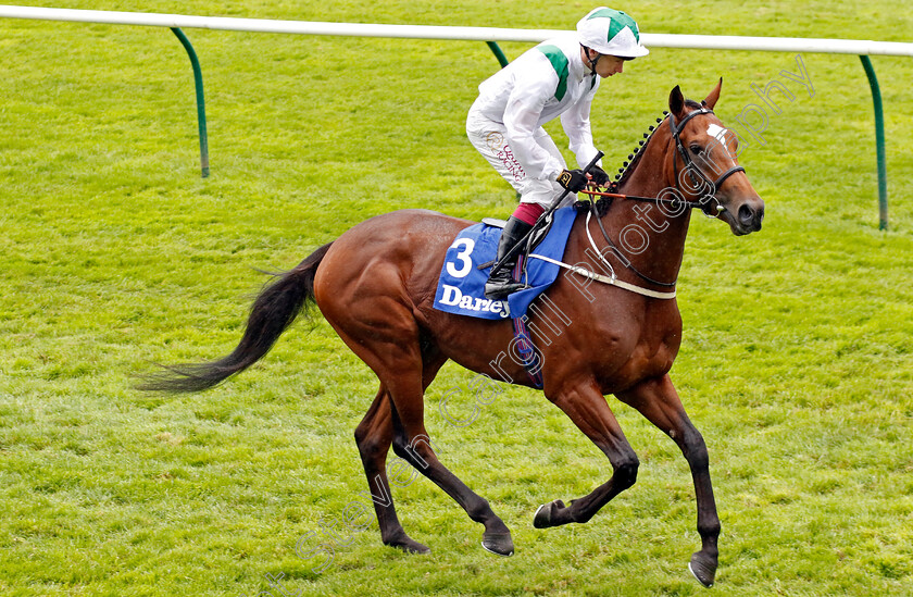 Green-Storm-0001 
 GREEN STORM (Oisin Murphy)
Newmarket 12 Oct 2024 - Pic Steven Cargill / Racingfotos.com