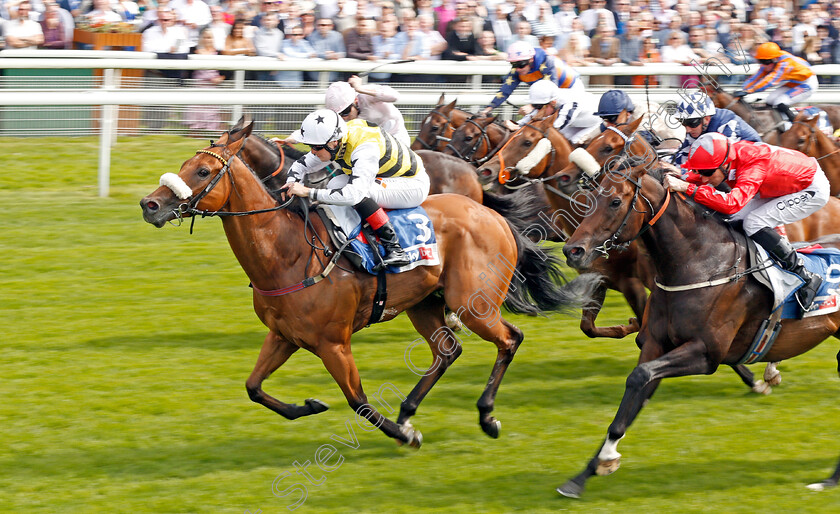 Dakota-Gold-0003 
 DAKOTA GOLD (Connor Beasley) wins The Sky Bet And Symphony Group Handicap
York 21 Aug 2019 - Pic Steven Cargill / Racingfotos.com