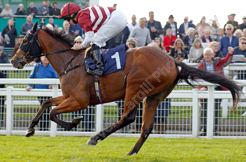 Pocket-The-Profit-0008 
 POCKET THE PROFIT (Ryan Moore) wins The Free Replays On attheraces.com Nursery
Yarmouth 19 Oct 2021 - Pic Steven Cargill / Racingfotos.com