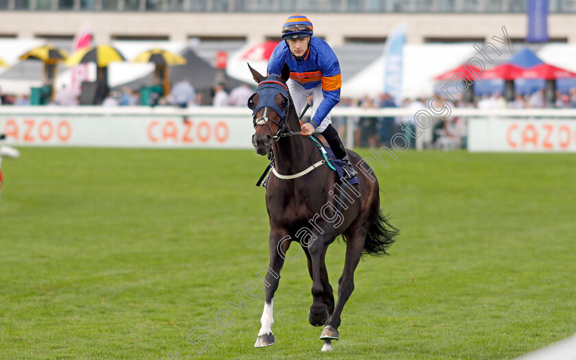 The-Grand-Visir-0001 
 THE GRAND VISIR (Richard Kingscote)
Doncaster 10 Sep 2021 - Pic Steven Cargill / Racingfotos.com