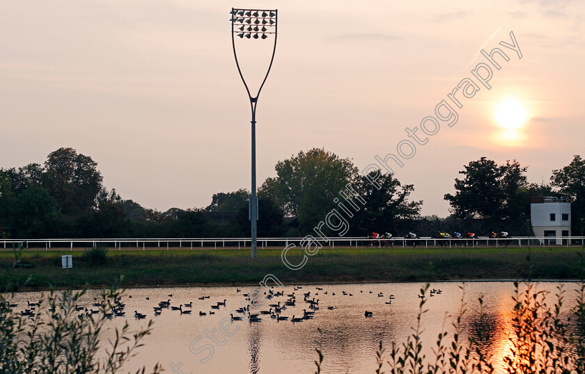 Chelmsford-0001 
 Action from Chelmsford 26 Sep 2017 - Pic Steven Cargill / Racingfotos.com