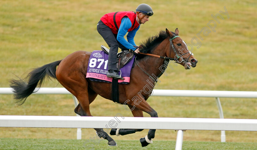 Midnight-Mile-0001 
 MIDNIGHT MILE training for the Breeders' Cup Juvenile Fillies Turf 
Keeneland USA 2 Nov 2022 - Pic Steven Cargill / Racingfotos.com