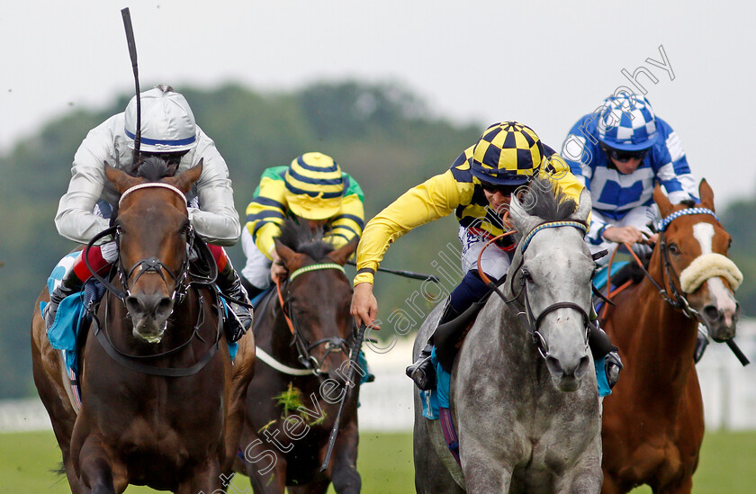 Alfred-Boucher-0005 
 ALFRED BOUCHER (right, David Probert) beats GRAND BAZAAR (left) in The John Guest Racing Handicap
Ascot 23 Jul 2021 - Pic Steven Cargill / Racingfotos.com