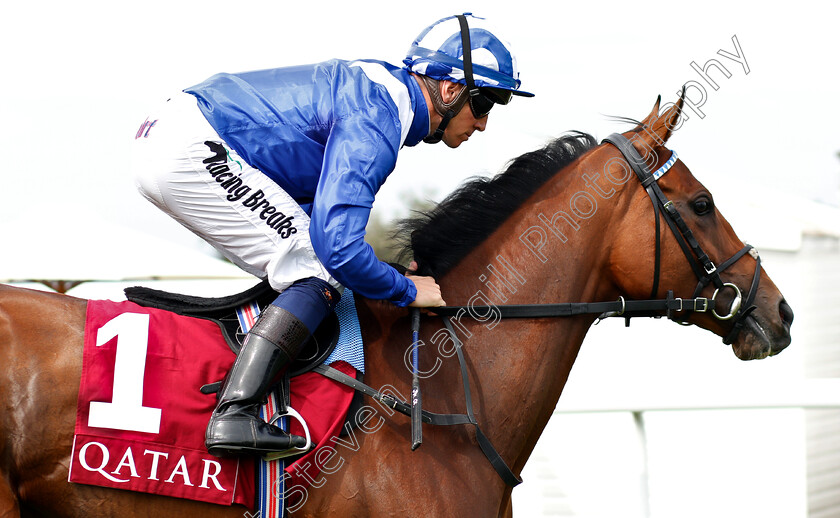 Enbihaar-0001 
 ENBIHAAR (Jim Crowley) before The Qatar Lillie Langtry Stakes
Goodwood 3 Aug 2019 - Pic Steven Cargill / Racingfotos.com