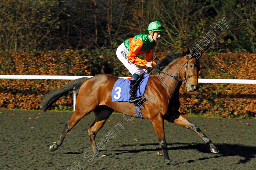 Holy-Shambles-0001 
 HOLY SHAMBLES (Marc Monaghan) Kempton 13 Dec 2017 - Pic Steven Cargill / Racingfotos.com