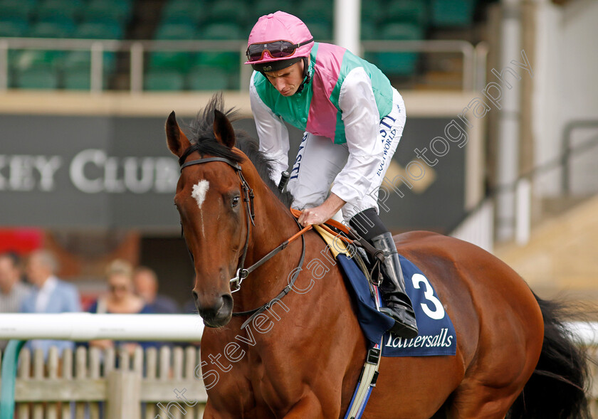 Nostrum-0008 
 NOSTRUM (Ryan Moore) winner of The Tattersalls Stakes
Newmarket 22 Sep 2022 - Pic Steven Cargill / Racingfotos.com