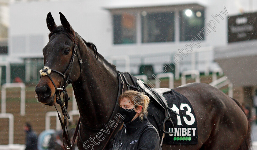 Thinking-0001 
 THINKING 
Cheltenham 15 Nov 2020 - Pic Steven Cargill / Racingfotos.com