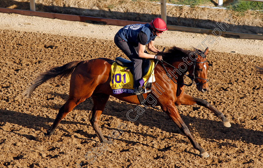 City-Of-Troy-0004 
 CITY OF TROY training for the Breeders' Cup Classic
Del Mar USA 30 Oct 2024 - Pic Steven Cargill / Racingfotos.com