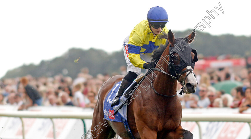 Soulcombe-0006 
 SOULCOMBE (Hollie Doyle) wins The Sky Bet Melrose Stakes
York 20 Aug 2022 - Pic Steven Cargill / Racingfotos.com