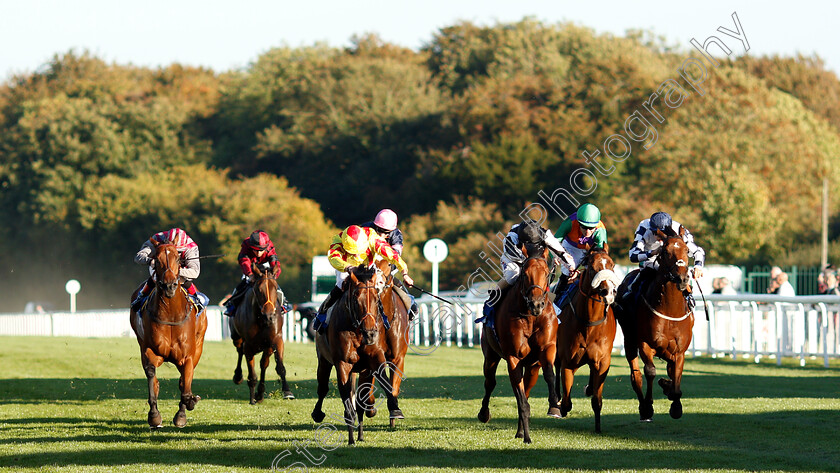 Helvetian-0001 
 HELVETIAN (3rd right, Andrea Atzeni) beats LOUIE DE PALMA (3rd left) in The Weatherbys General Stud Book Handicap
Salisbury 3 Oct 2018 - Pic Steven Cargill / Racingfotos.com