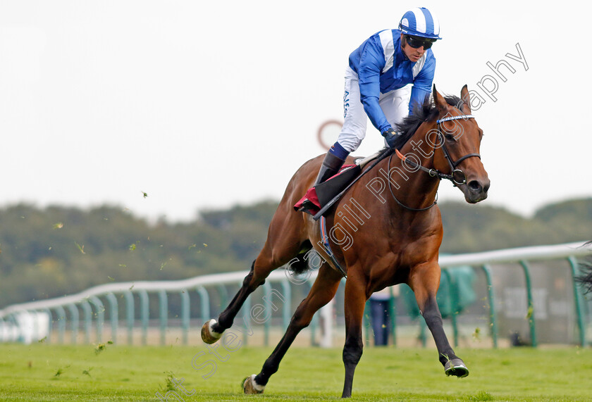 Khanjar-0003 
 KHANJAR (Jim Crowley) wins The The Tin Man Handicap
Haydock 2 Sep 2022 - Pic Steven Cargill / Racingfotos.com