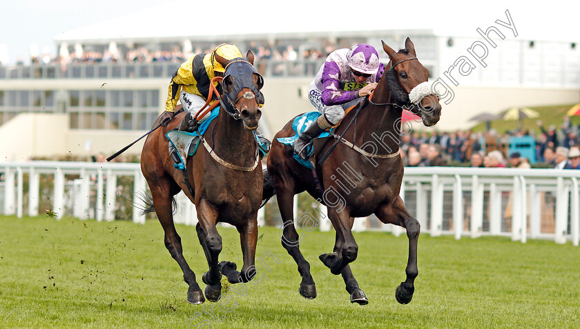 Landa-Beach-0002 
 LANDA BEACH (right, David Probert) beats DARKSIDEOFTARNSIDE (left) in The Canaccord Genuity Gordon Carter Handicap
Ascot 4 Oct 2019 - Pic Steven Cargill / Racingfotos.com