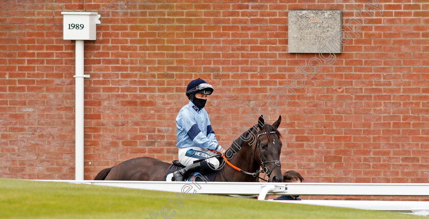 Culture-0001 
 CULTURE (Nicola Currie)
Goodwood 23 Sep 2020 - Pic Steven Cargill / Racingfotos.com