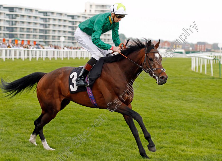 Blazing-Saddles-0001 
 BLAZING SADDLES (Louis Steward) Newbury 21 Apr 2018 - Pic Steven Cargill / Racingfotos.com