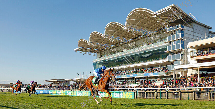 Desert-Flower-0002 
 DESERT FLOWER (William Buick) wins The bet365 Fillies Mile
Newmarket 11 Oct 2024 - pic Steven Cargill / Racingfotos.com