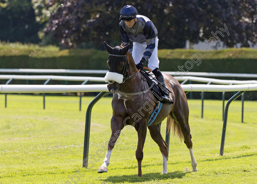 Harry s-Halo-0001 
 HARRY'S HALO (Andrea Pinna)
Nottingham 19 Jul 2024 - Pic Steven Cargill / Megan Dent / Racingfotos.com