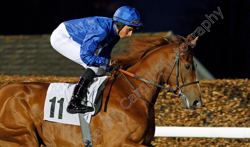 Warburton-0001 
 WARBURTON (William Buick) Kempton 21 Mar 2018 - Pic Steven Cargill / Racingfotos.com