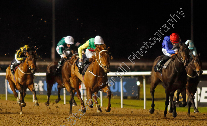 Kon-Tiki-0002 
 KON TIKI (centre, Jonny Peate) wins The Betmgm Irish EBF Fillies Novice Stakes Div2
Wolverhampton 20 Dec 2024 - Pic Steven Cargill / Racingfotos.com