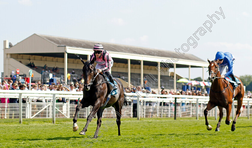 Chichester-0005 
 CHICHESTER (Richard Kingscote) wins The Seat Unique Ganton Stakes
York 16 Jun 2023 - Pic Steven Cargill / Racingfotos.com