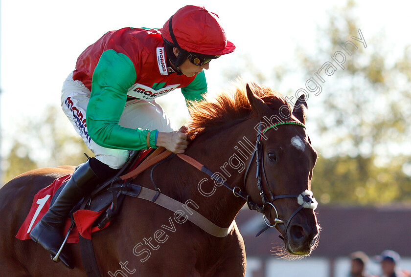 Quel-Destin-0005 
 QUEL DESTIN (Harry Cobden) wins The Matchbook Betting Exchange Juvenile Hurdle
Kempton 21 Oct 2018 - Pic Steven Cargill / Racingfotos.com